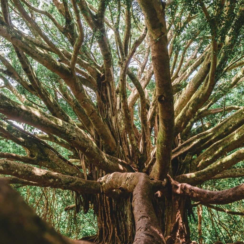 pexels chaitaastic 12595718 scaled.jpg